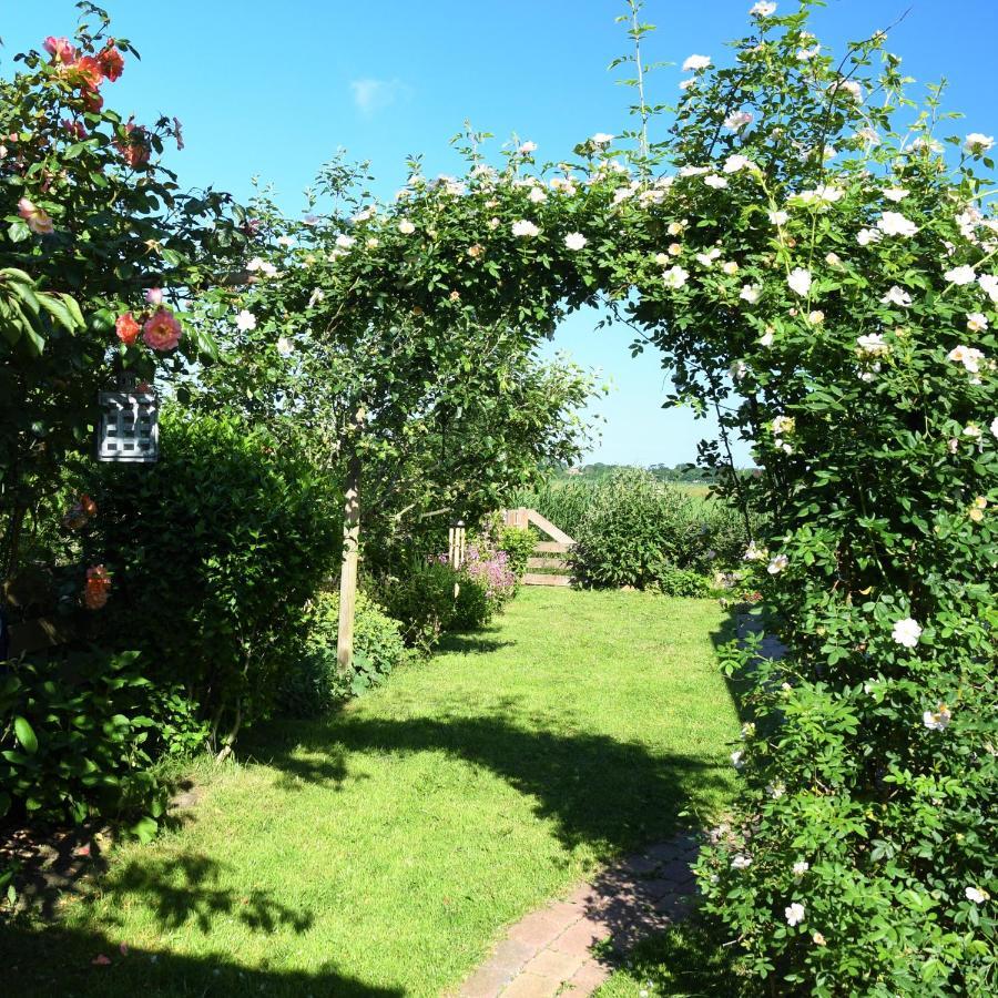Wadden Eiland Bed En Breakfast Op Texel Oudeschild ภายนอก รูปภาพ